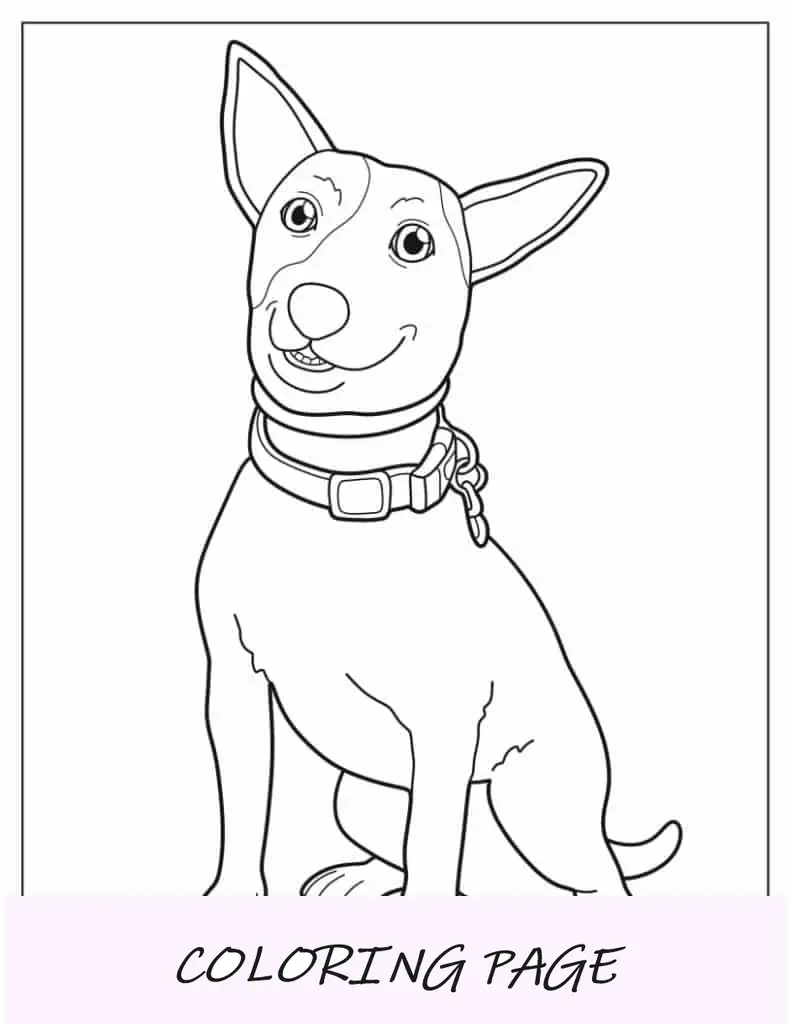 Cachorro Jack Russell com orelhas empinadas para colorir