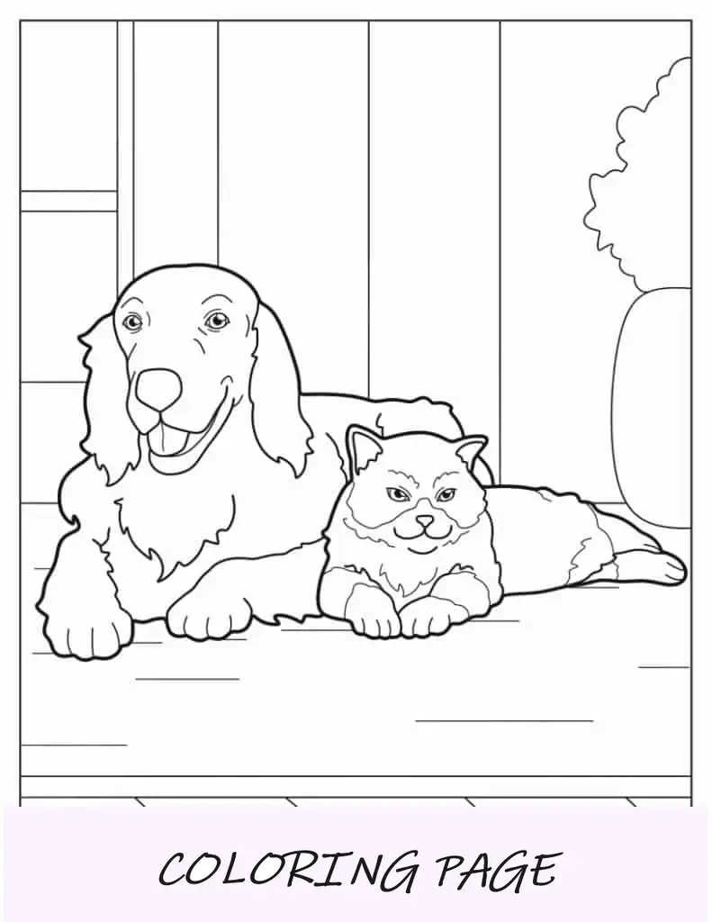 Desenho de Golden Retriever e gato sentados juntos para colorir