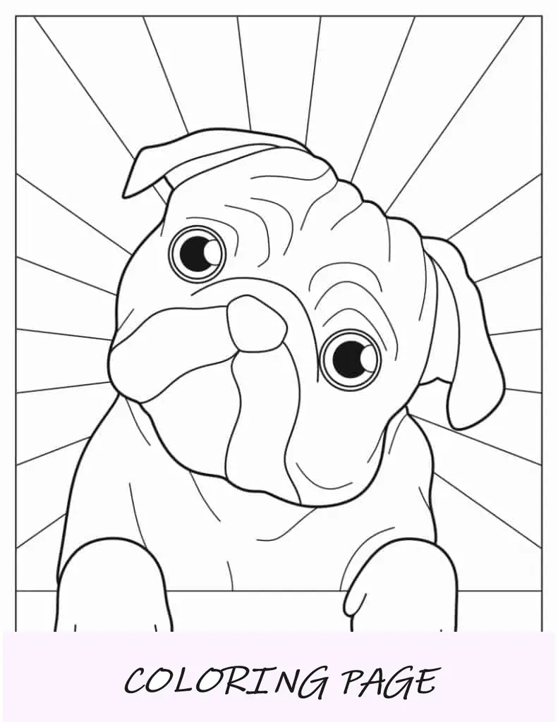 Página para colorir de Pug com cabeça inclinada