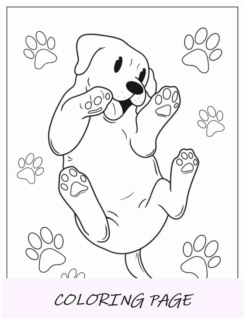 Cachorrinho rolando no chão