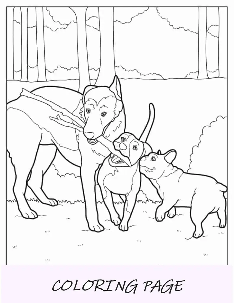 Três cachorros brincando com um bastão grande
