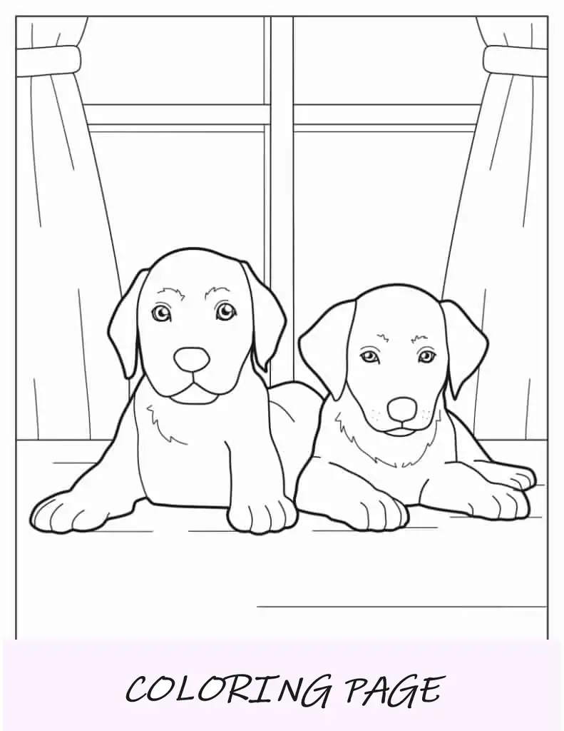 Folha para colorir de dois filhotes de Labrador fofos