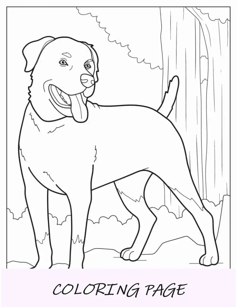 Página para colorir de cachorro rottweiler