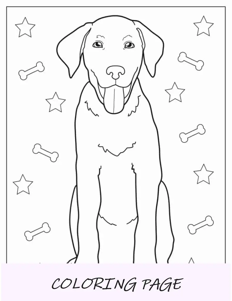 Folha para colorir de filhote de labrador para crianças