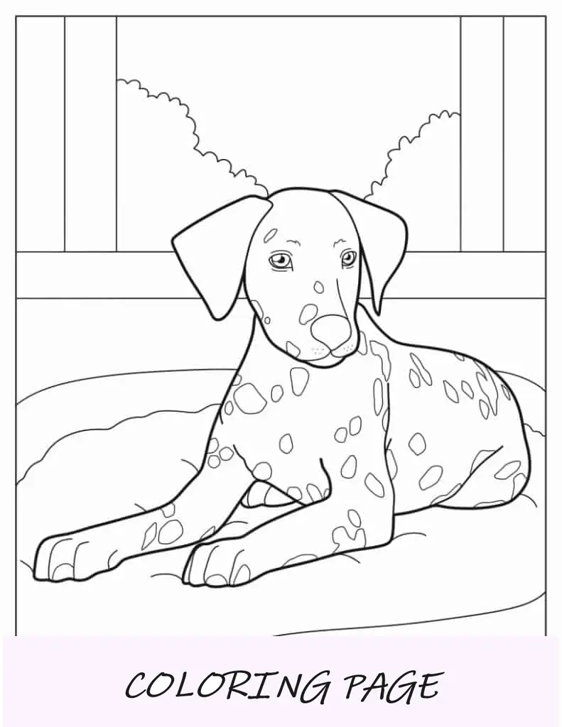 Dálmata realista na cama do cachorro para colorir