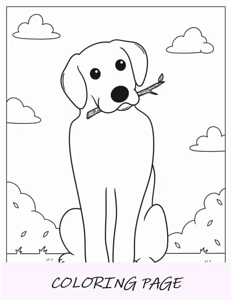 Contorno fácil de cachorro com pau