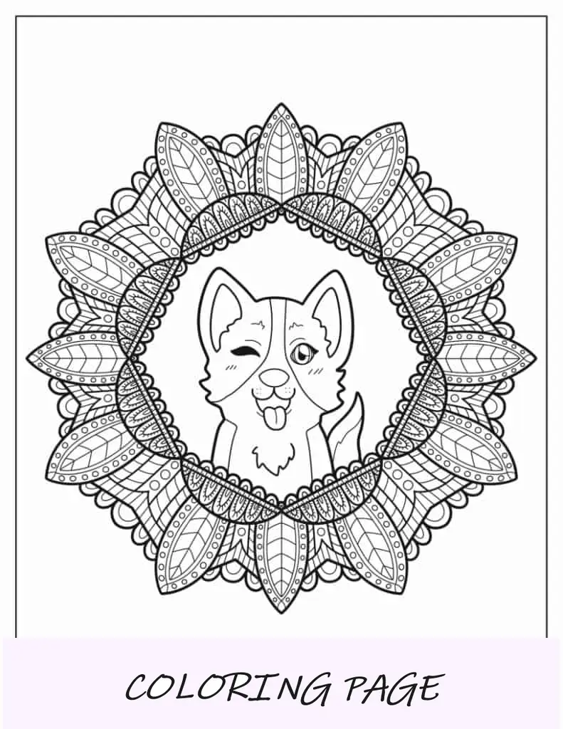 Página para colorir de Corgi dentro da mandala de flores