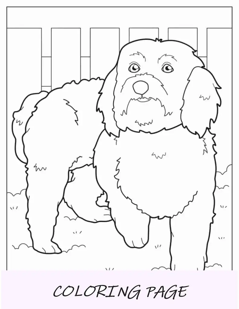 Folha para colorir de cachorro maltês com pata para cima