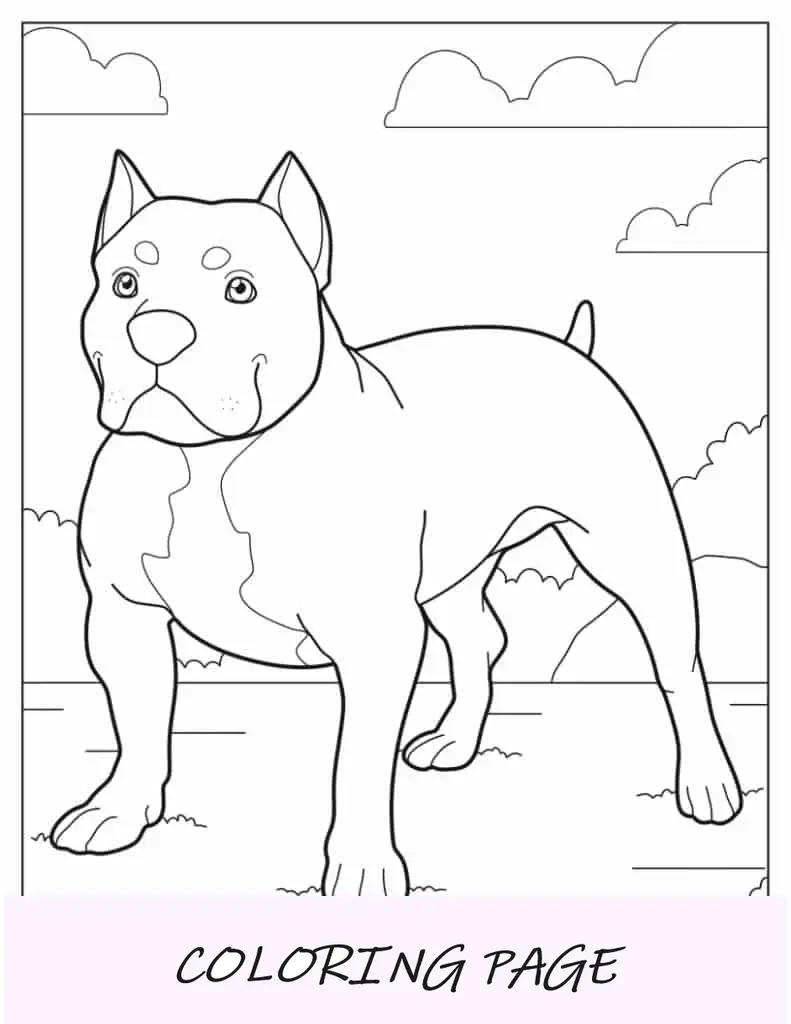 Bulldog Adulto Amigável