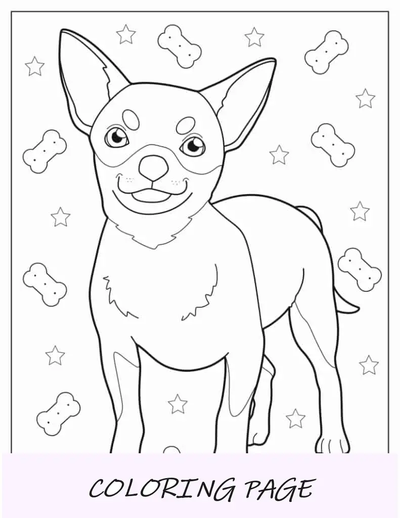 Página para colorir de um lindo chihuahua