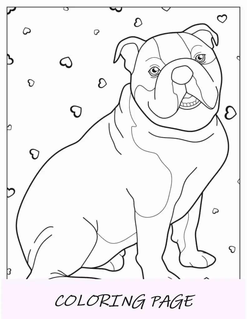 Página para colorir do Bulldog Americano