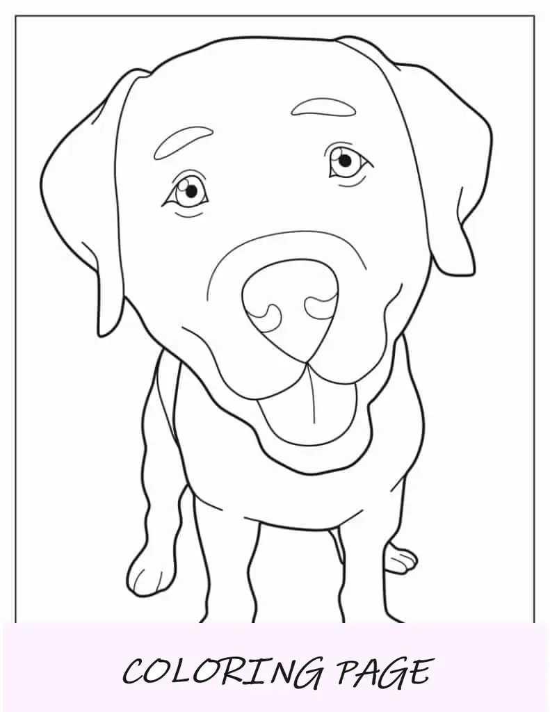 Folha para colorir de close up de rosto de cachorro