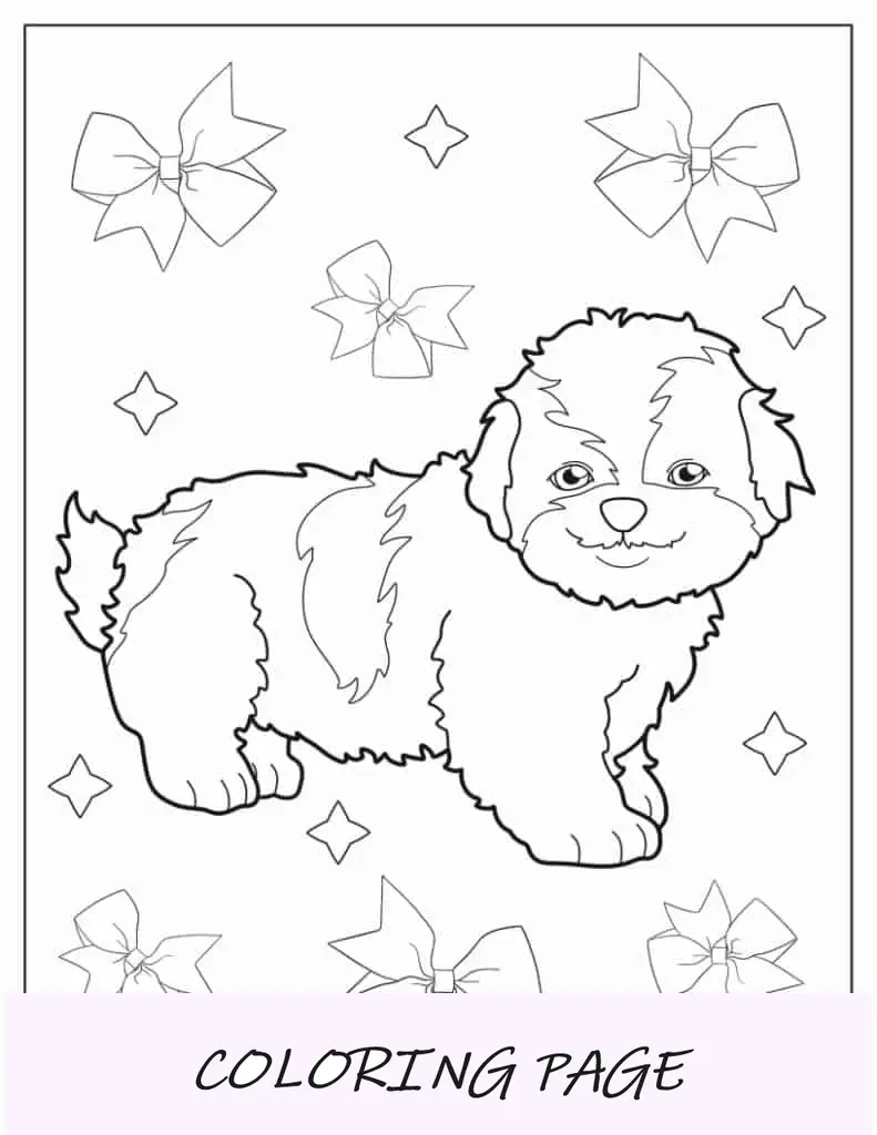 Adorável Shih Tzu para colorir