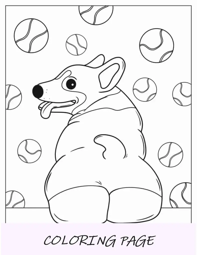 Vista Traseira Do Corgi Fofo