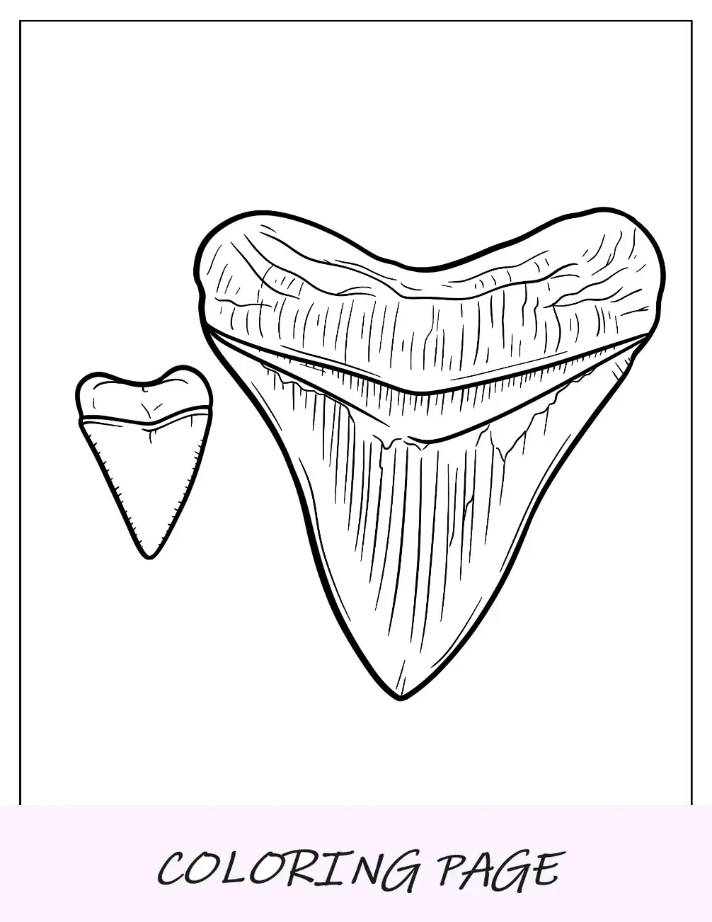 Desenho para colorir de Megalodonte nadando com cachalotes