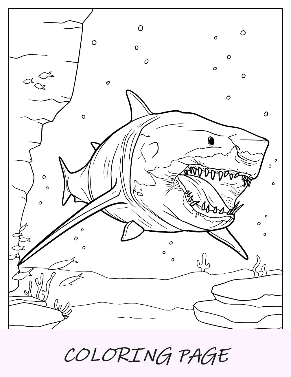 Comparação de página para colorir de Megalodon e tamanho de T Rex