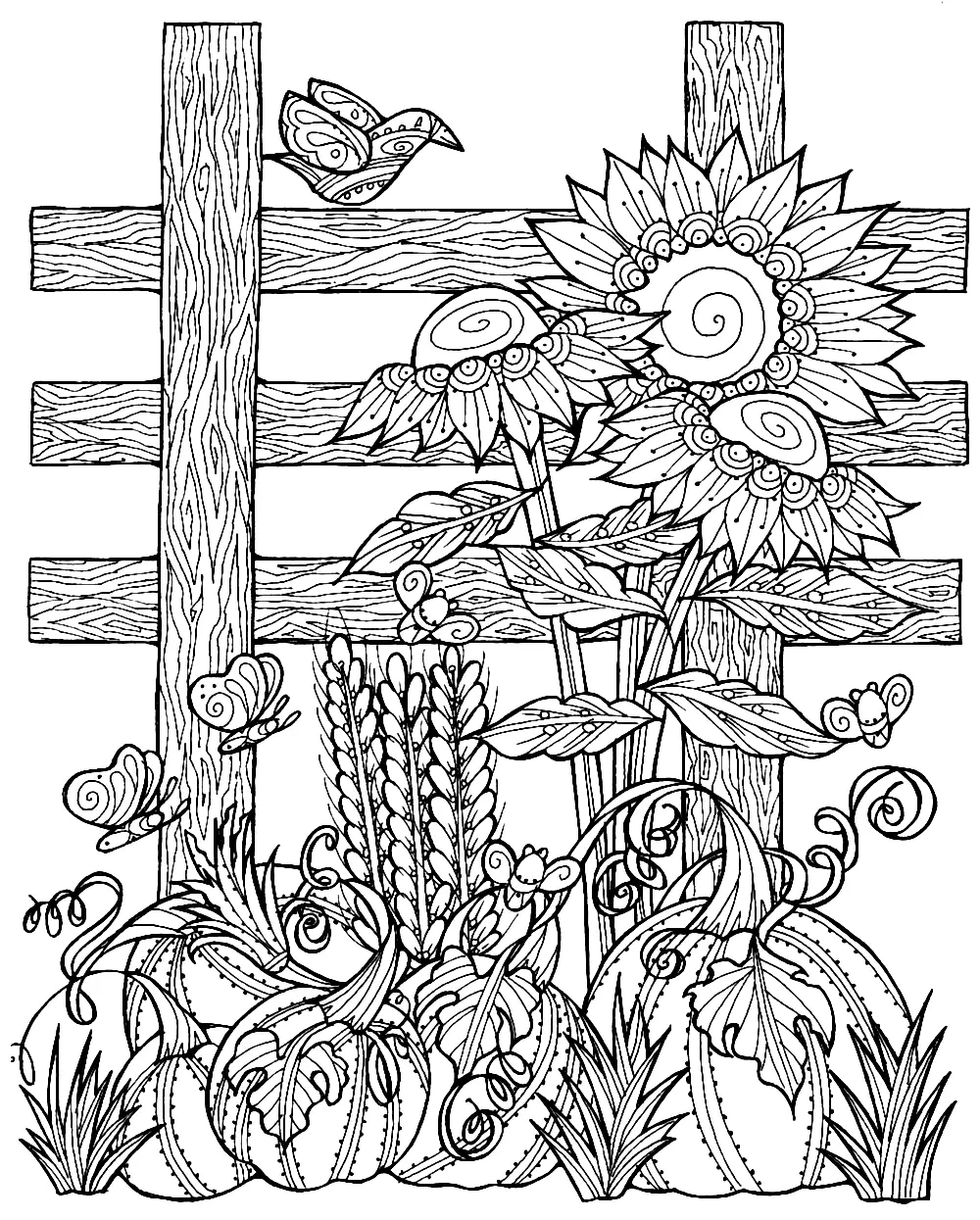 Pumpkin Patch Coloring Page For Adults