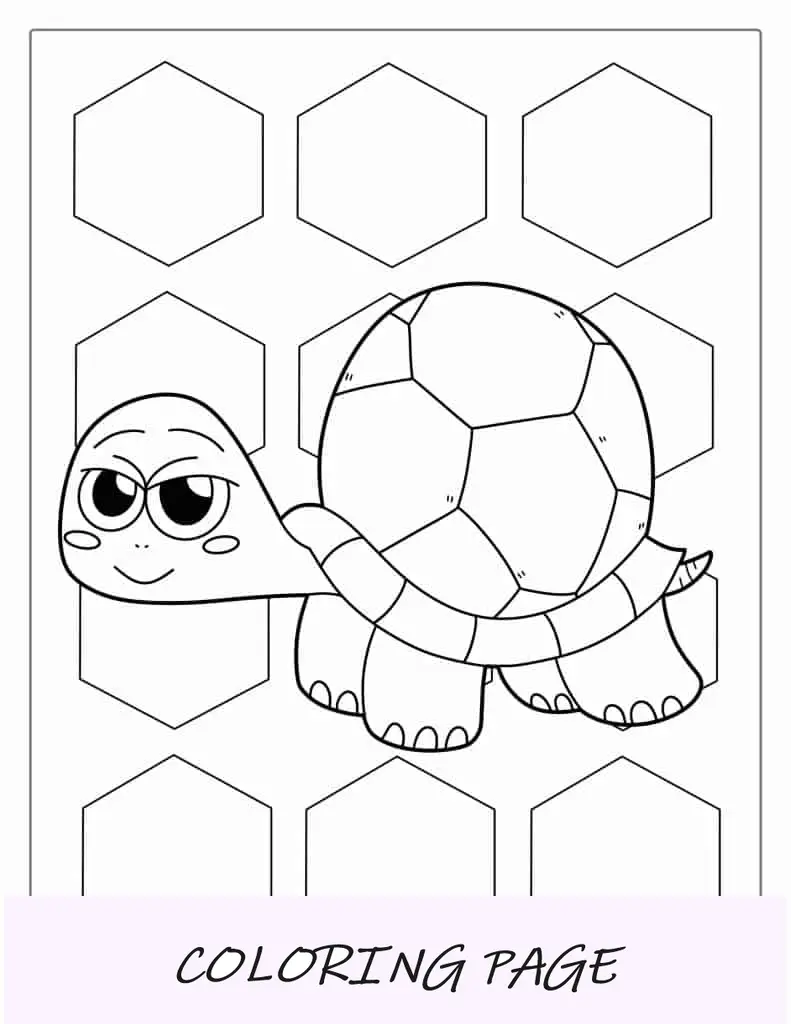 Tartaruga de desenho animado com grande carapaça redonda
