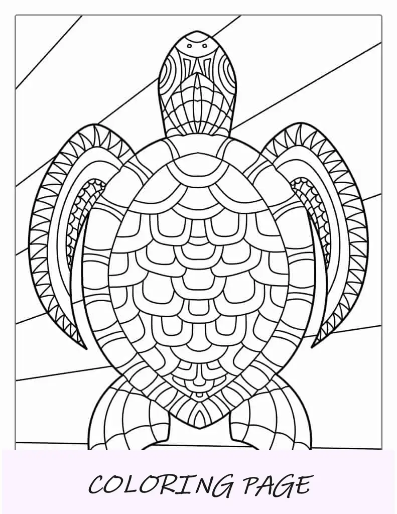Coloração detalhada de tartaruga mandala para adultos