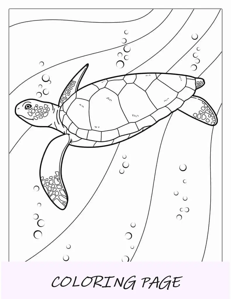 Página para colorir de tartaruga marinha para crianças