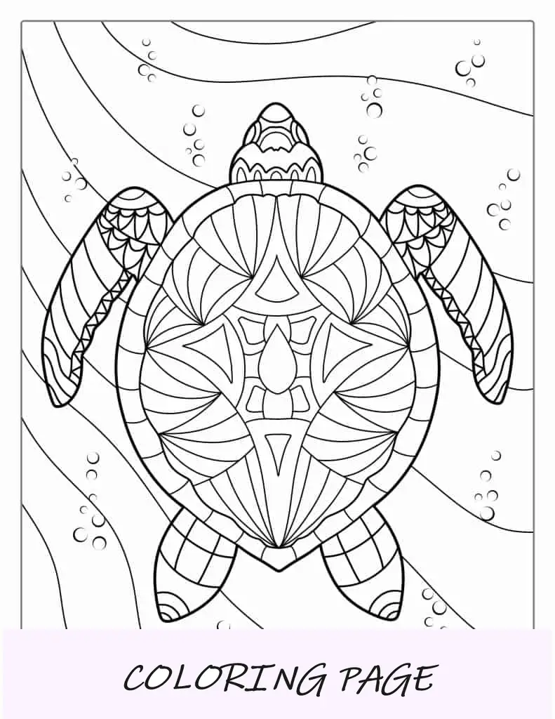 Tartaruga Mandala detalhada para adultos