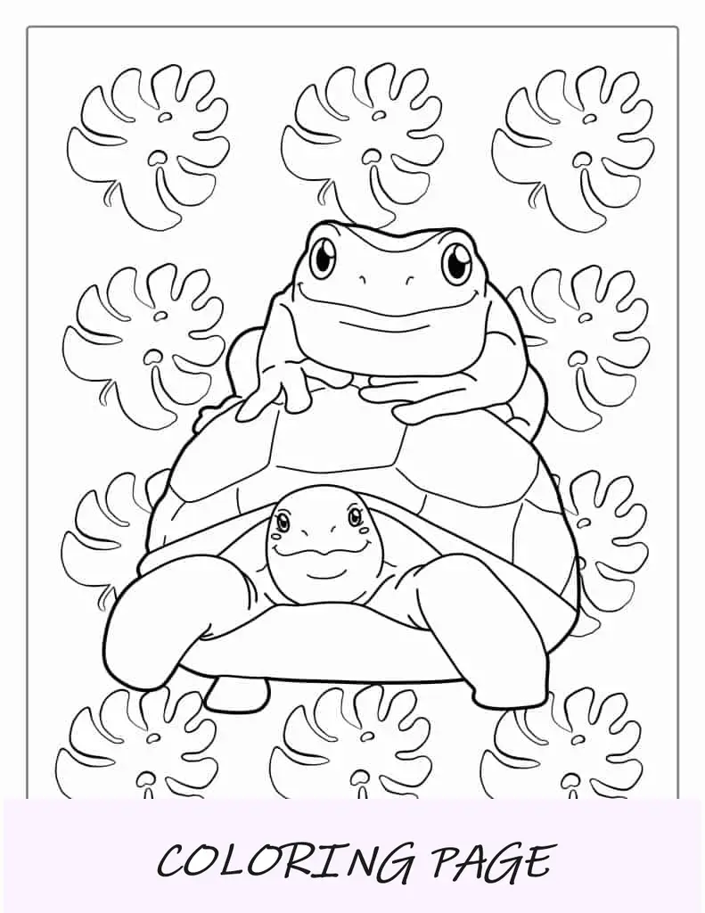 Desenho de Sapo sentado na tartaruga para colorir