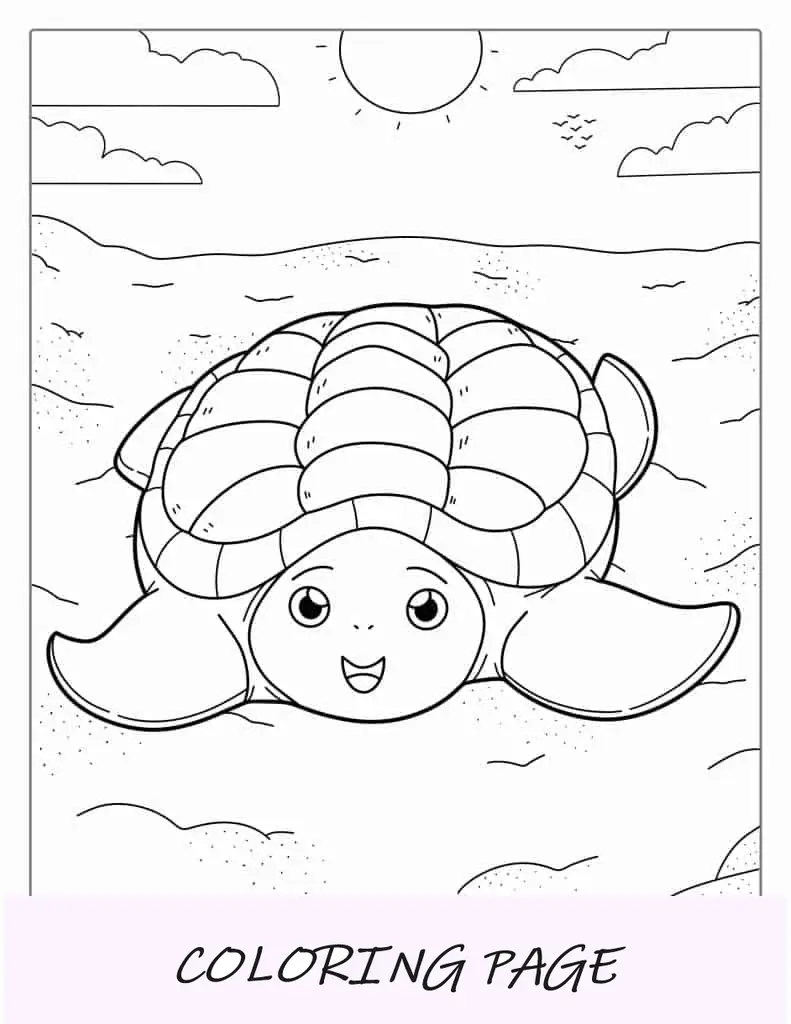 Contorno simples de tartaruga para colorir para crianças