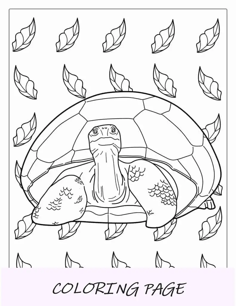 Página para colorir de tartaruga simples