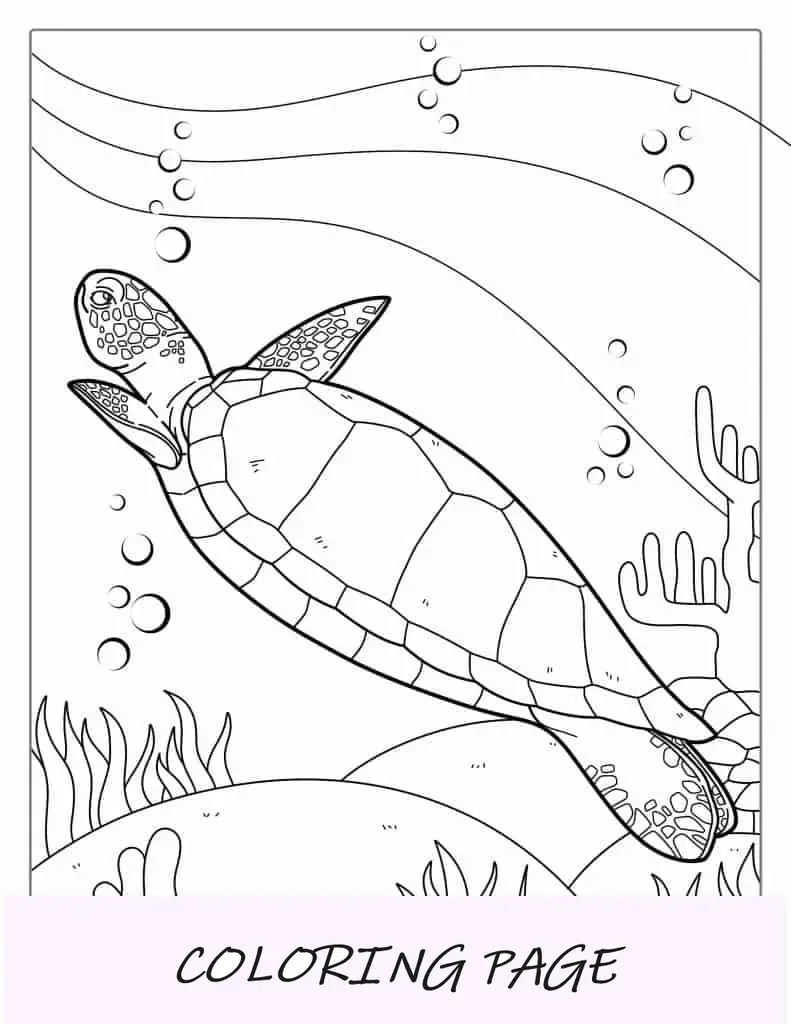 Folha para colorir de tartaruga nadando no Pacífico
