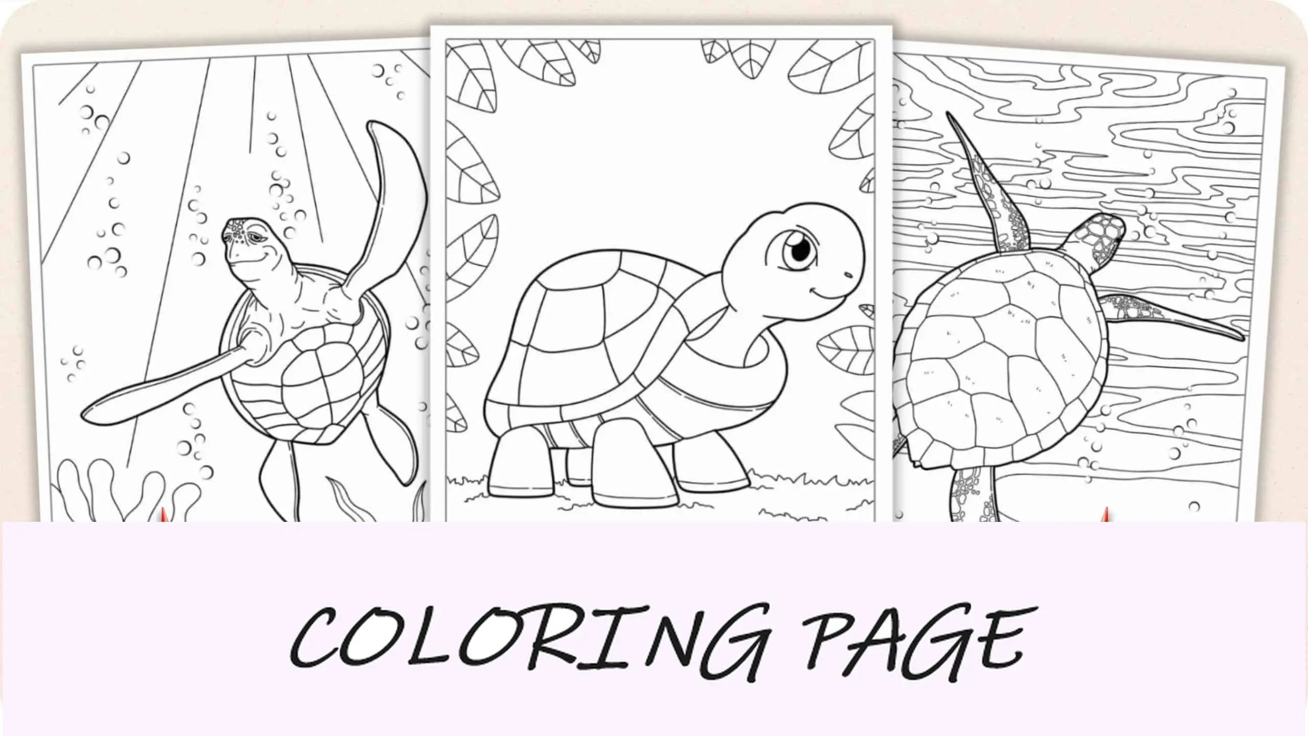 Imagem em destaque de páginas para colorir de tartarugas