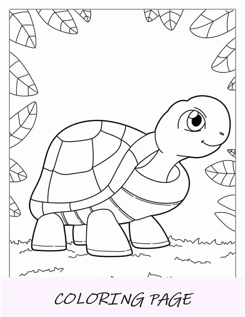 Esboço simples de tartaruga para colorir para crianças