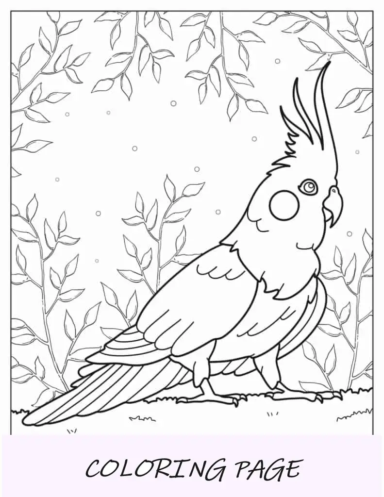 Cacatúa Página Para Colorear