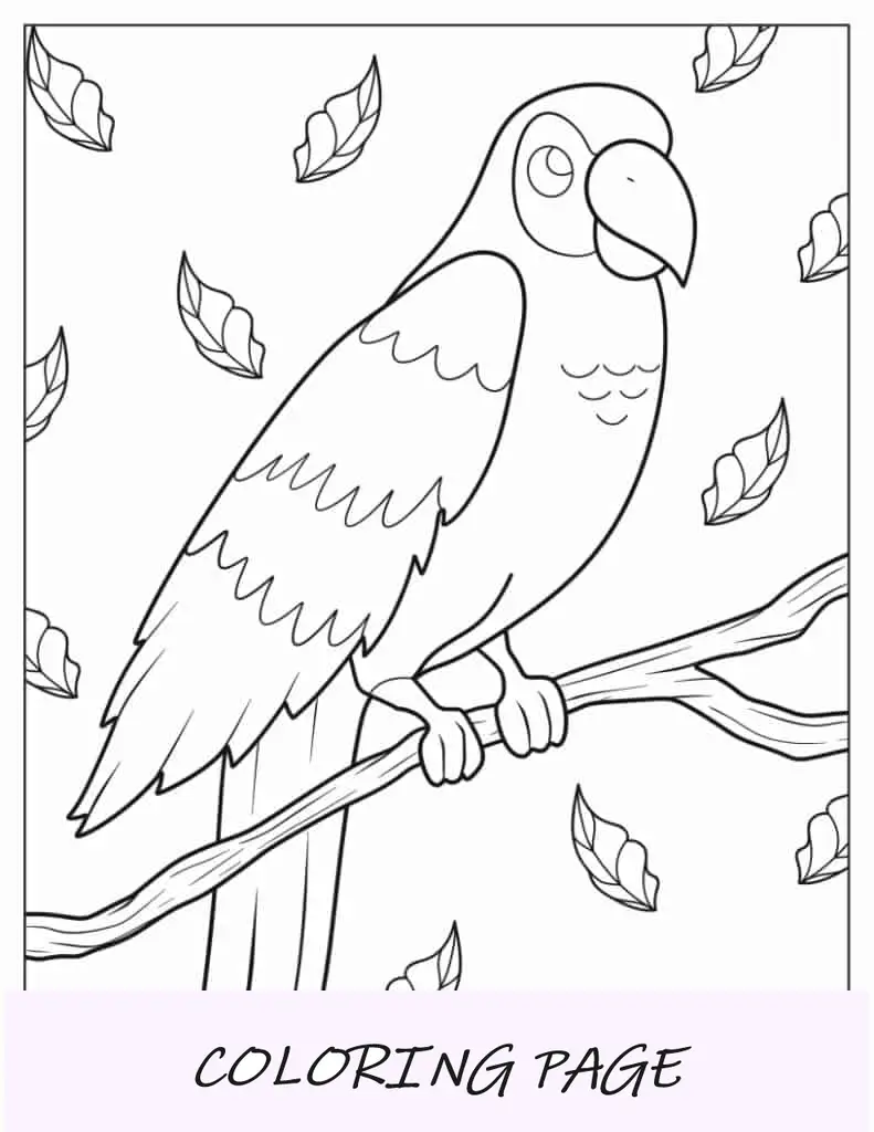 Página para colorear de un loro para niños