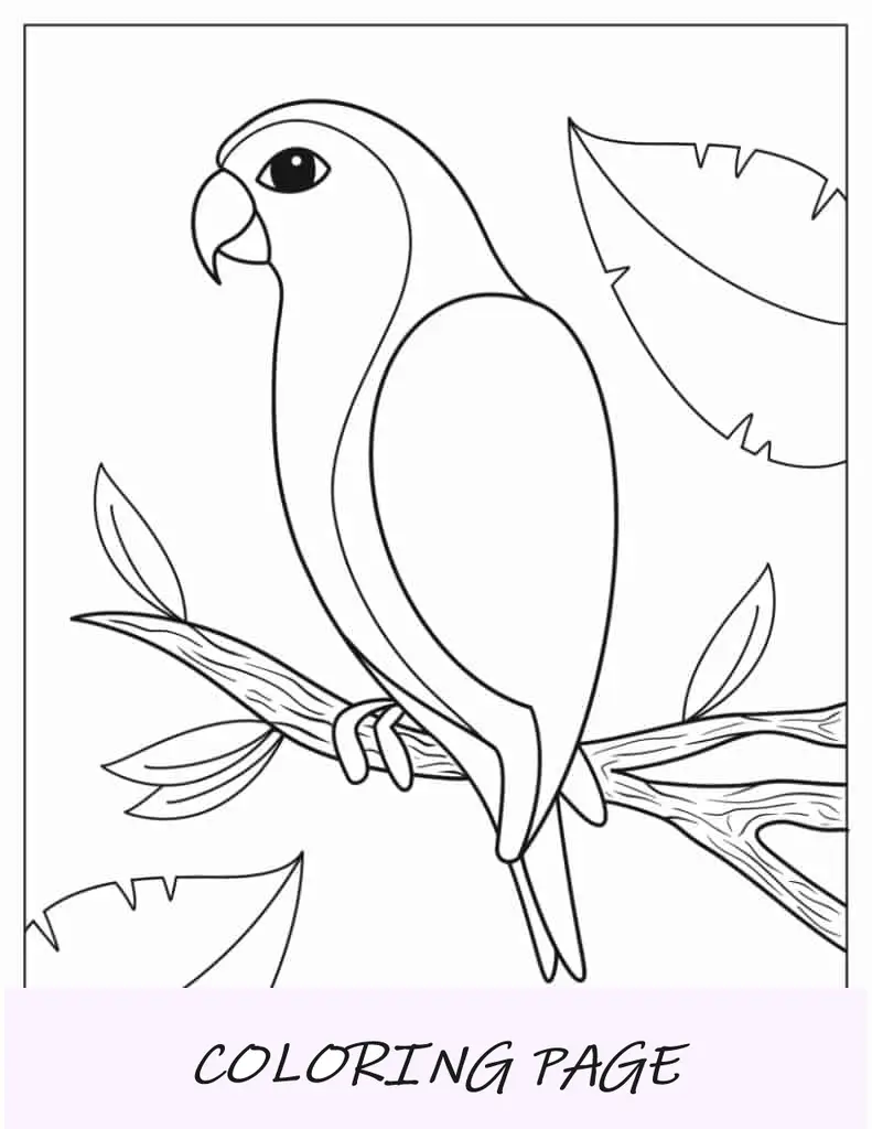 Esquema Simple De Loro Para Colorear