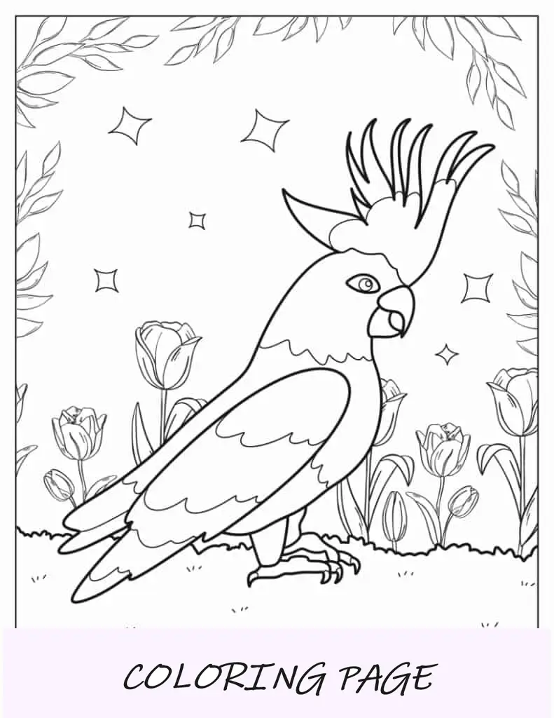 Cacatúa australiana para colorear