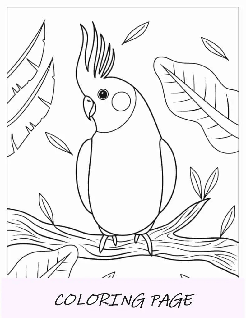 Loro fácil de colorear para niños