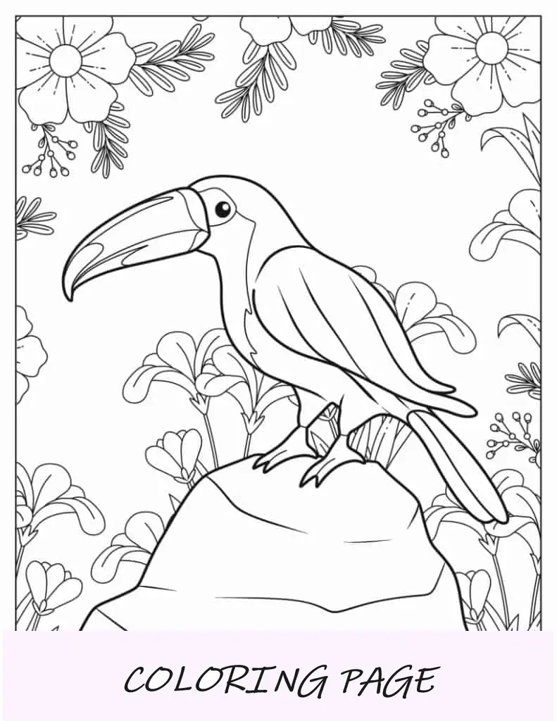 Hoja para colorear de loro tucán
