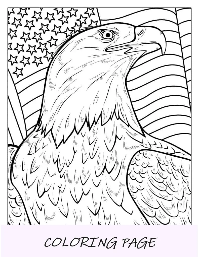 Página para colorir de águia careca com bandeira dos EUA