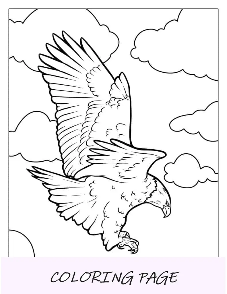 Águia americana mergulhando com asas abertas para colorir