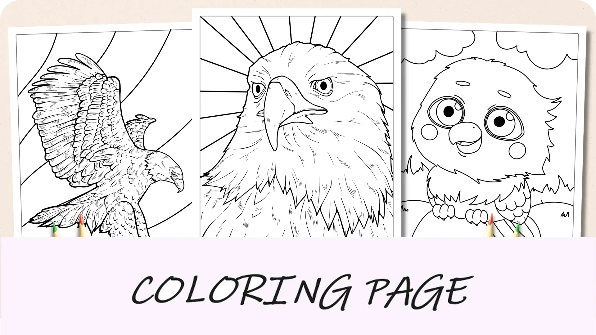 Imagem em destaque de páginas para colorir de águia careca