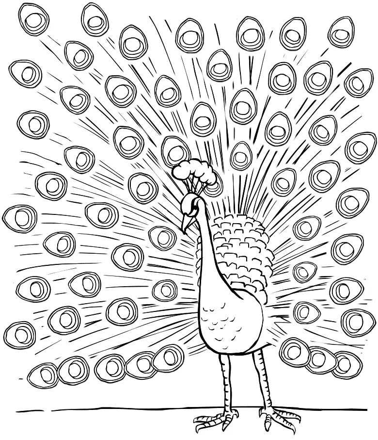 Peacock Coloring Pages Printable