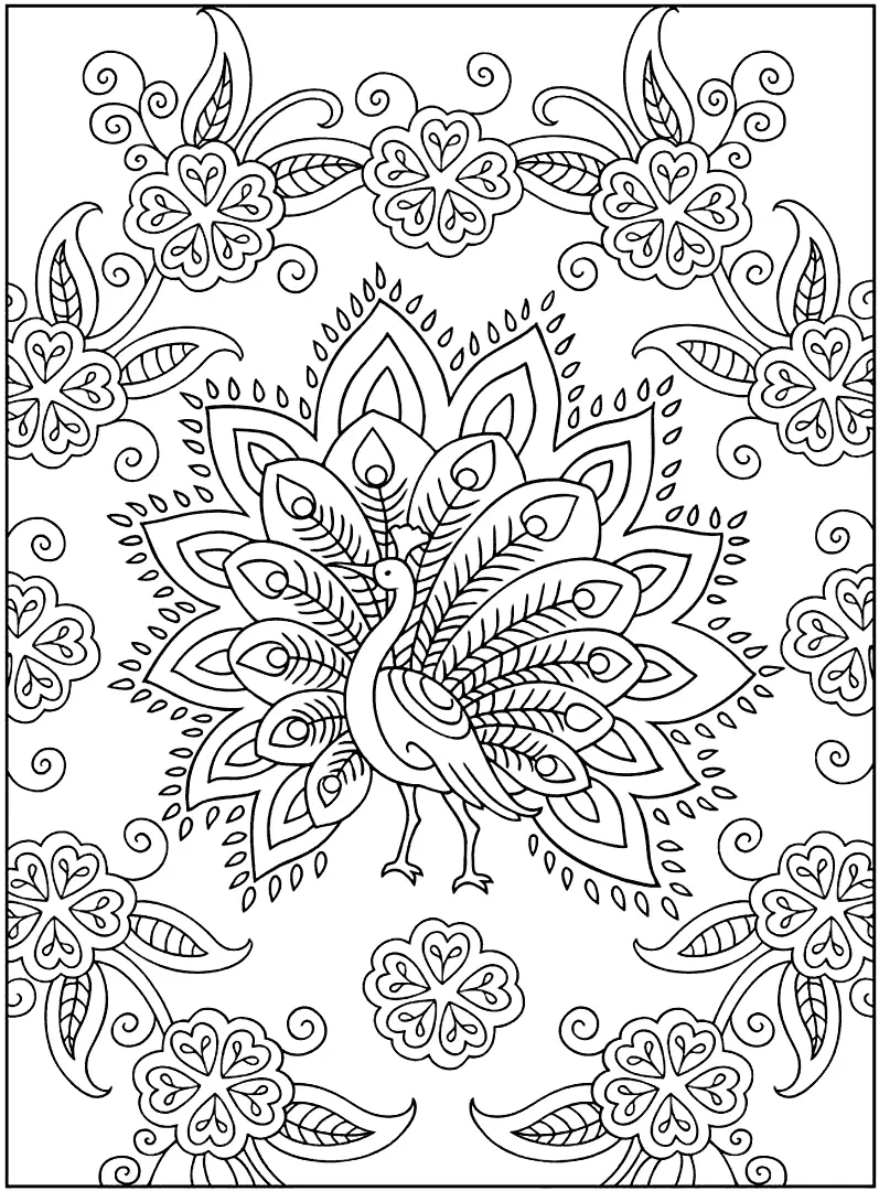 Peacock And Pattern Coloring Page