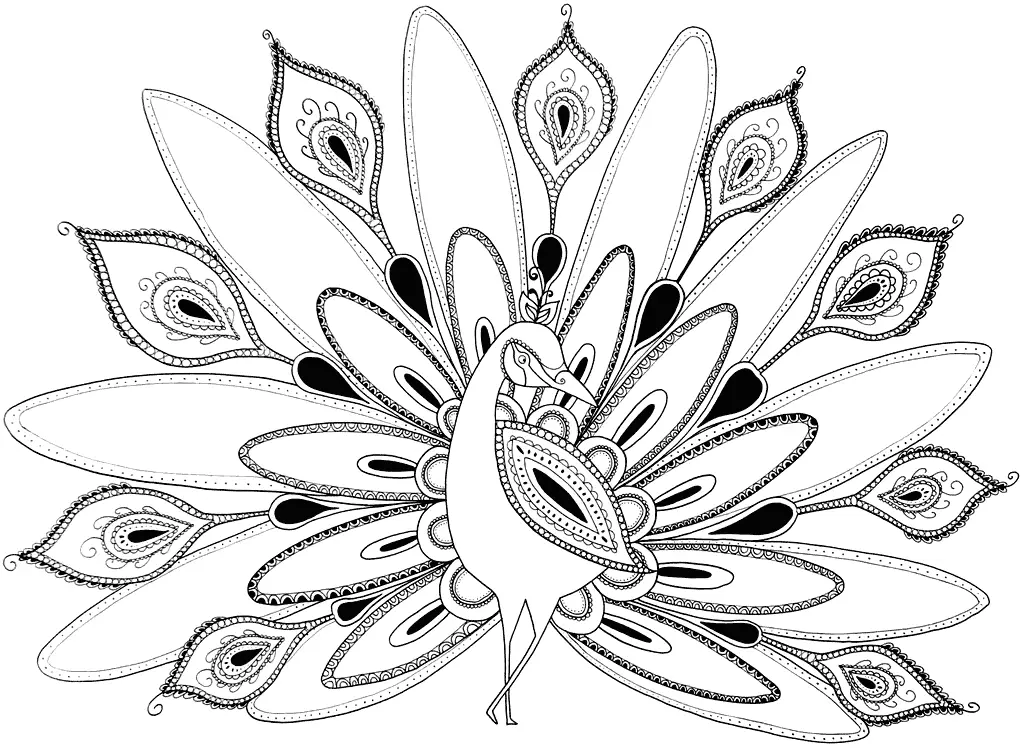 Paisley Peacock Coloring Pages
