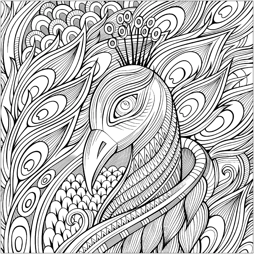Hard Peacock Coloring Page