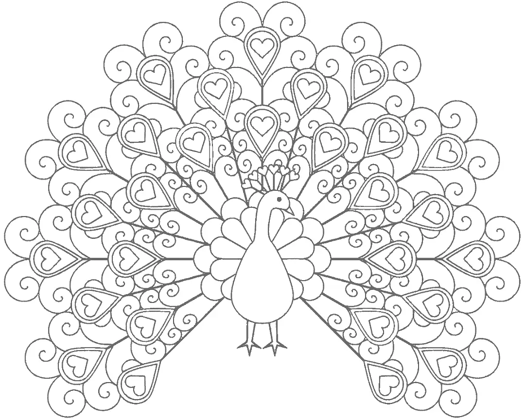 Gray Hearts Peacock Coloring Page
