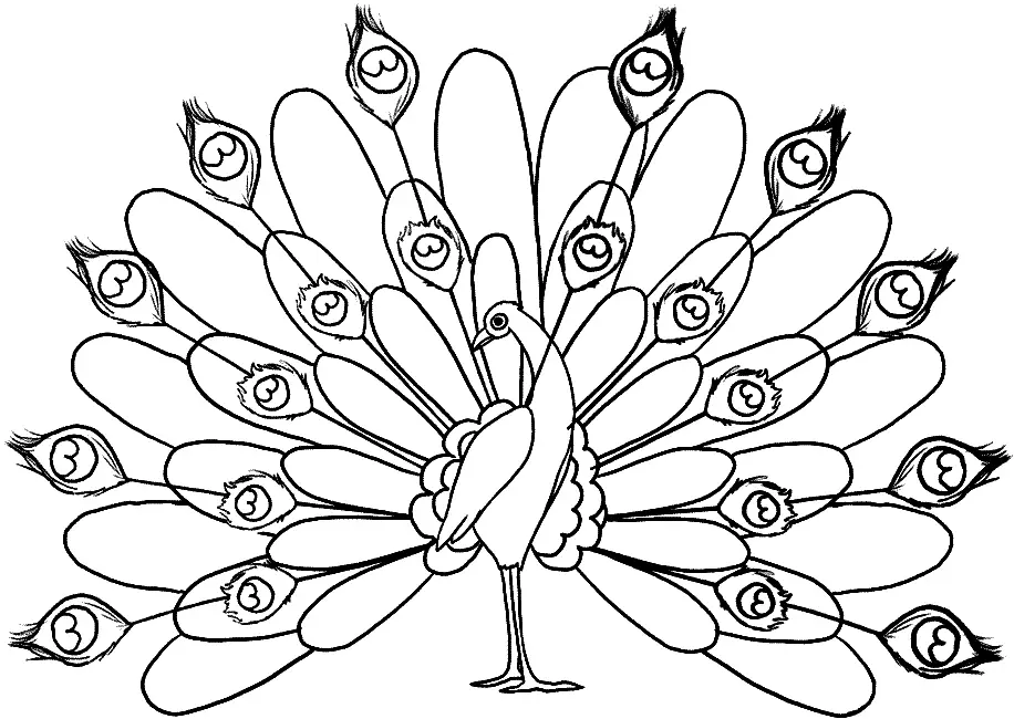 Free Peacock Coloring Pages