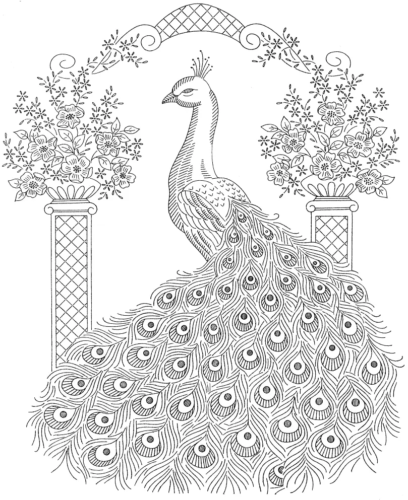 Detailed Peacock Coloring Page