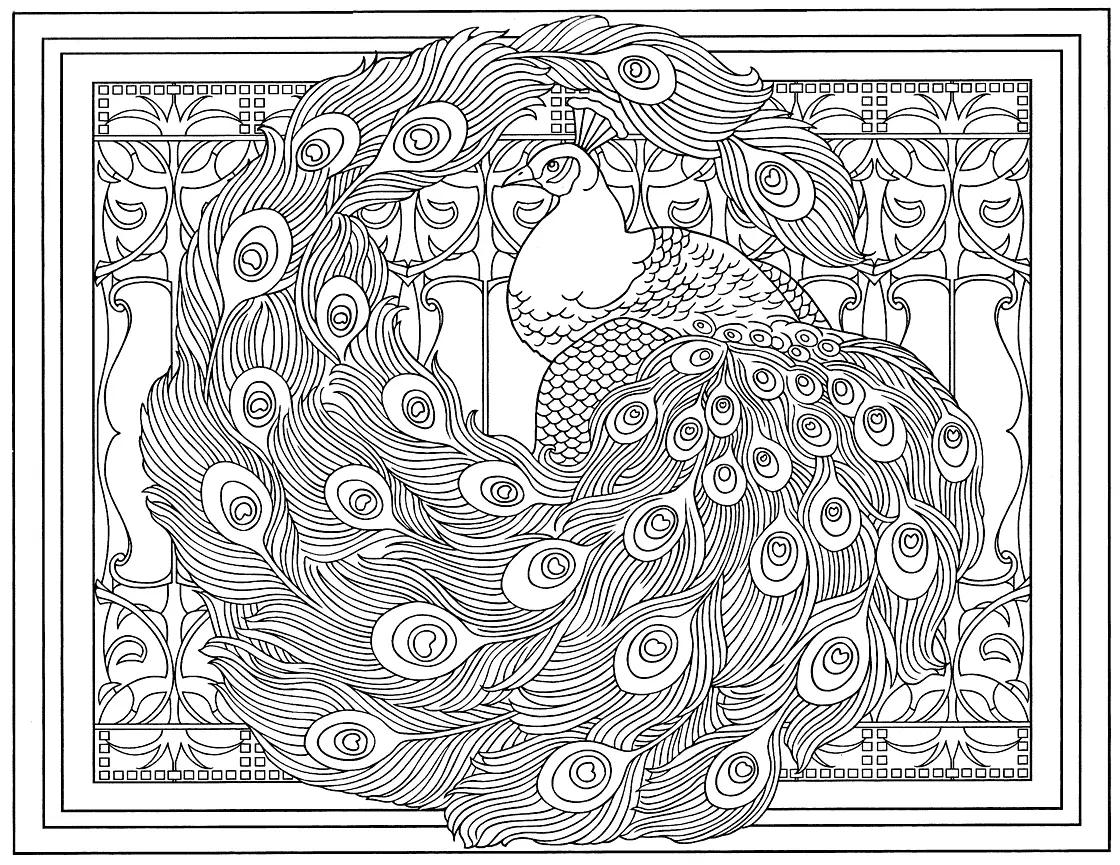 Peacock Printable Coloring Page For Adults