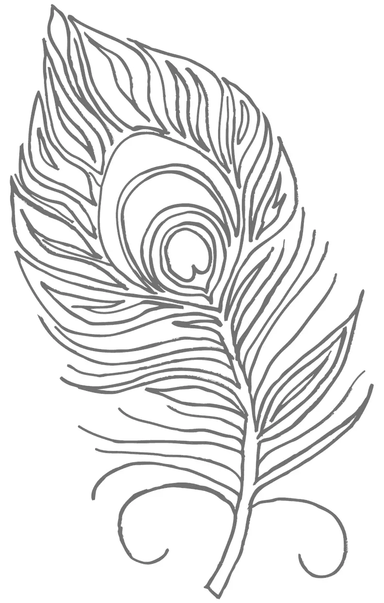Peacock Feather Coloring Page