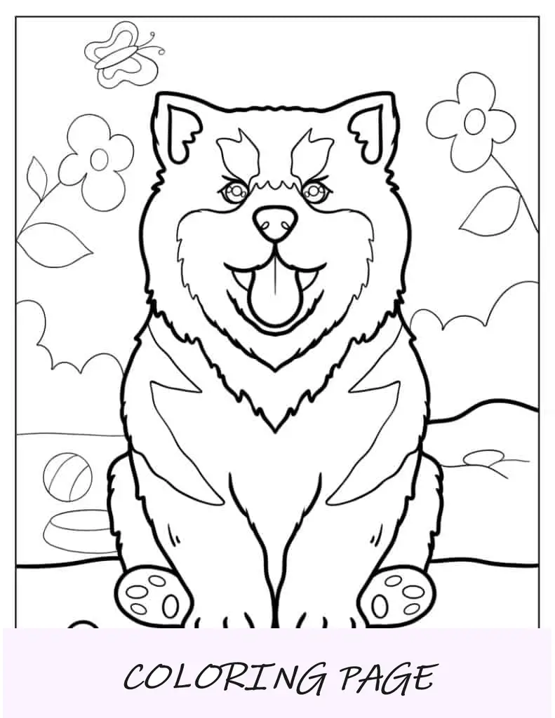 Desenho de Cachorro Husky com língua de fora para colorir